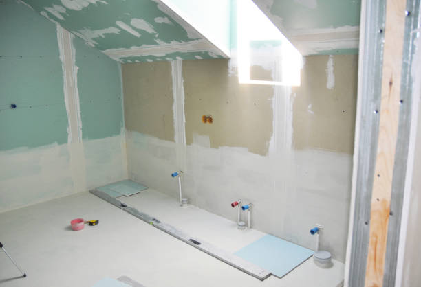 Best Basement Mold Removal  in Moapa Valley, NV