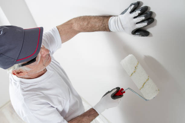 Mold Documentation for Insurance Claims in Moapa Valley, NV