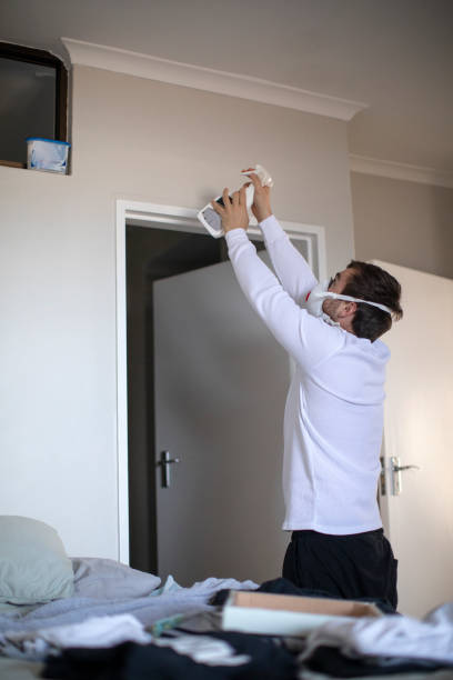 Best Mold Documentation for Insurance Claims  in Moapa Valley, NV