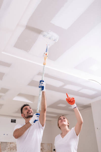 Best Mold Removal for HVAC Installations  in Moapa Valley, NV