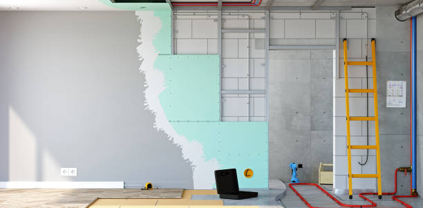 Best Industrial Mold Remediation  in Moapa Valley, NV