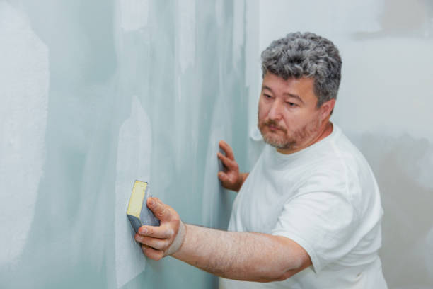 Trusted Moapa Valley, NV Mold Removal Experts